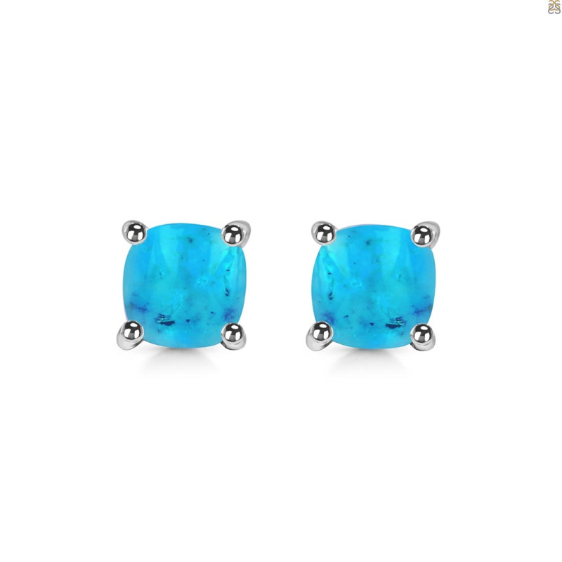 Turquoise Stud Earring TRQ-RDE-1161.