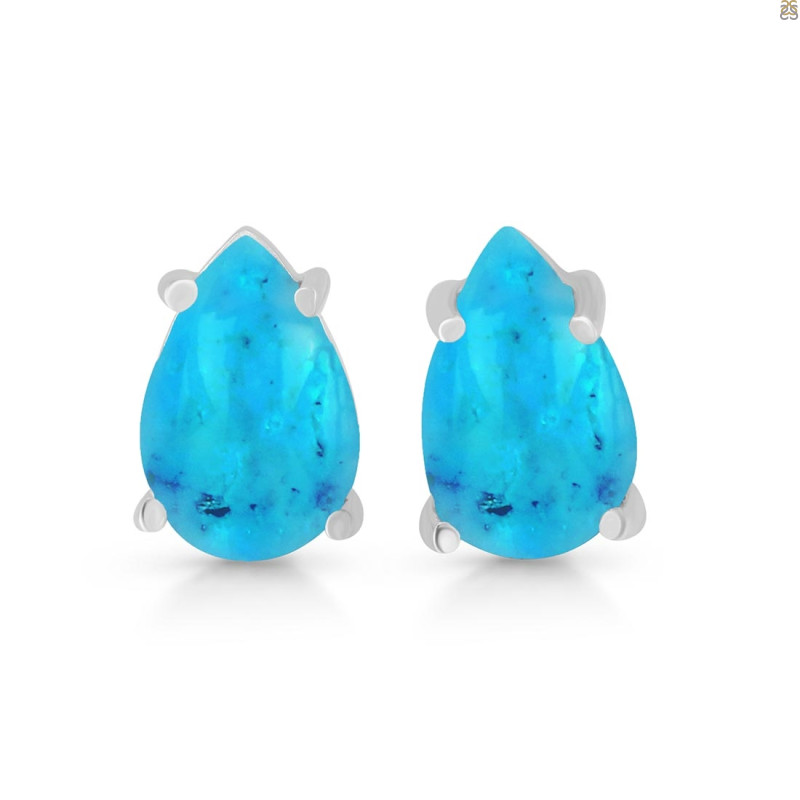 Turquoise Stud Earring TRQ-RDE-1207.