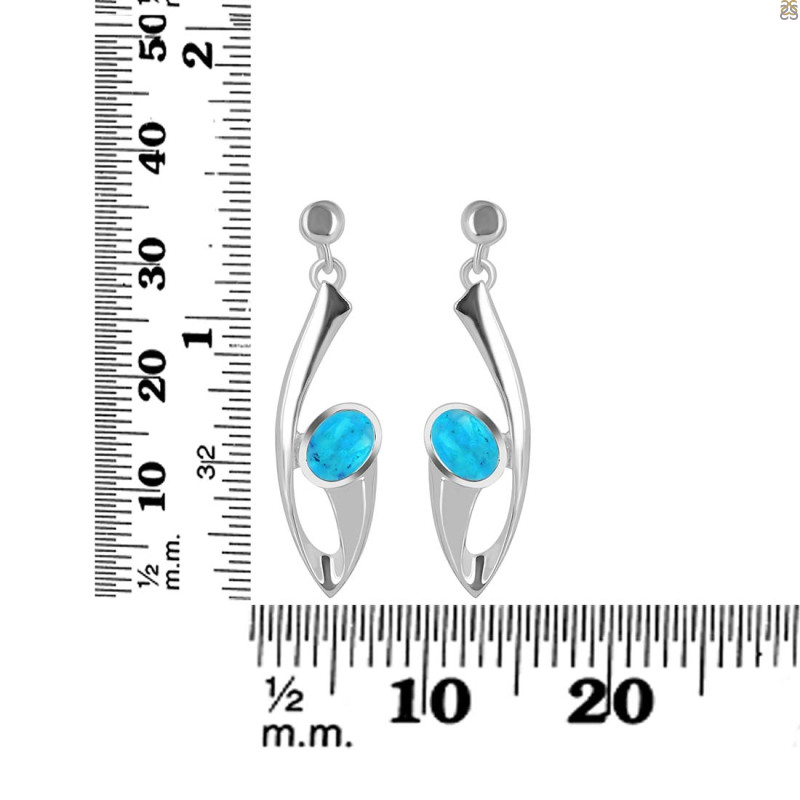 Turquoise Earring TRQ-RDE-445.