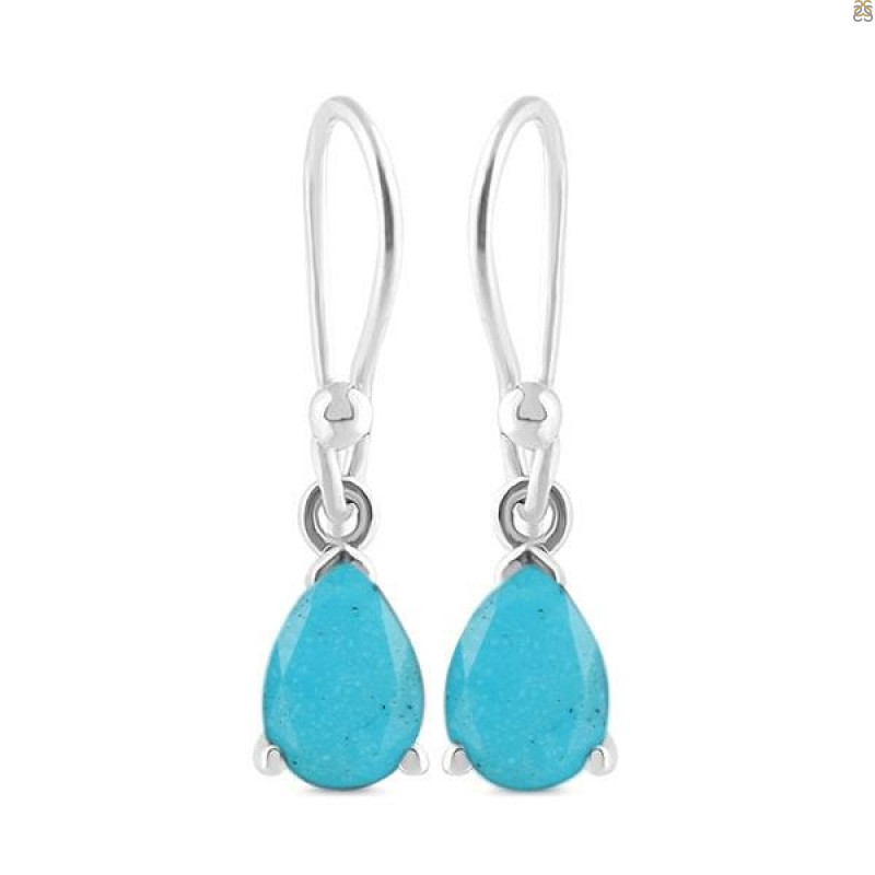 Turquoise Earring TRQ-RDE-676.