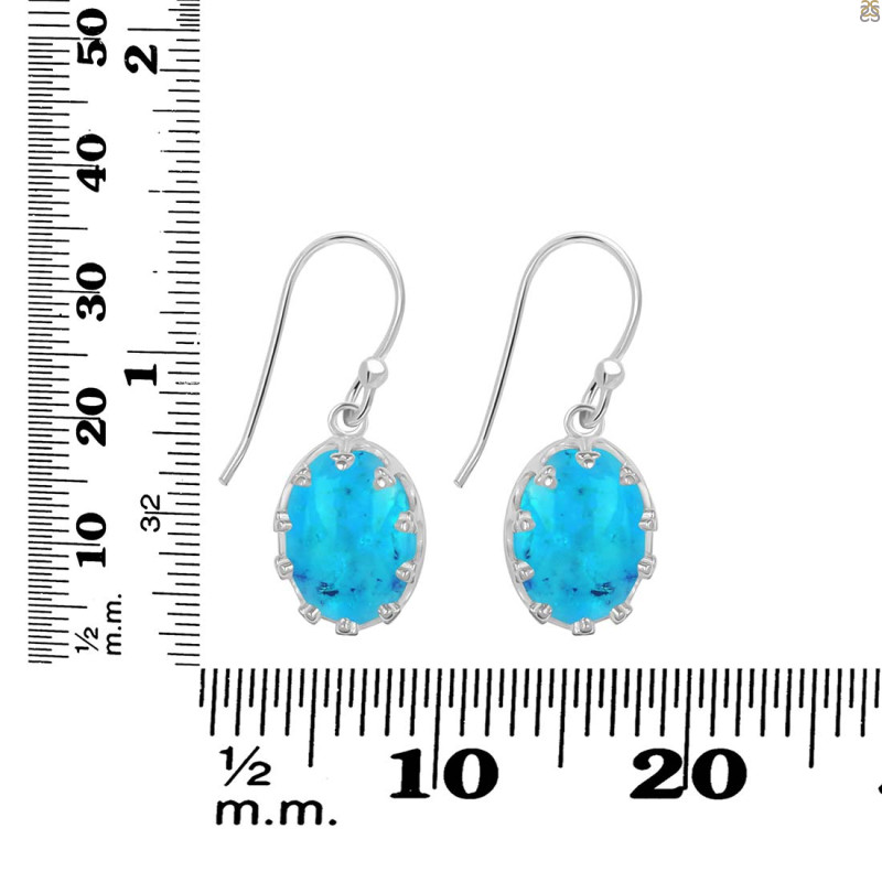 Turquoise Earring TRQ-RDE-833.