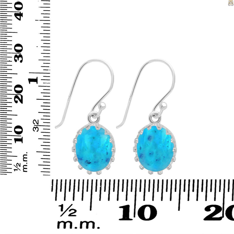 Turquoise Earring TRQ-RDE-843.