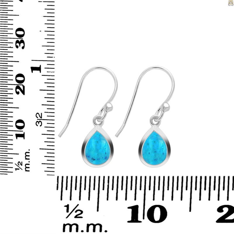 Turquoise Earring TRQ-RDE-999.