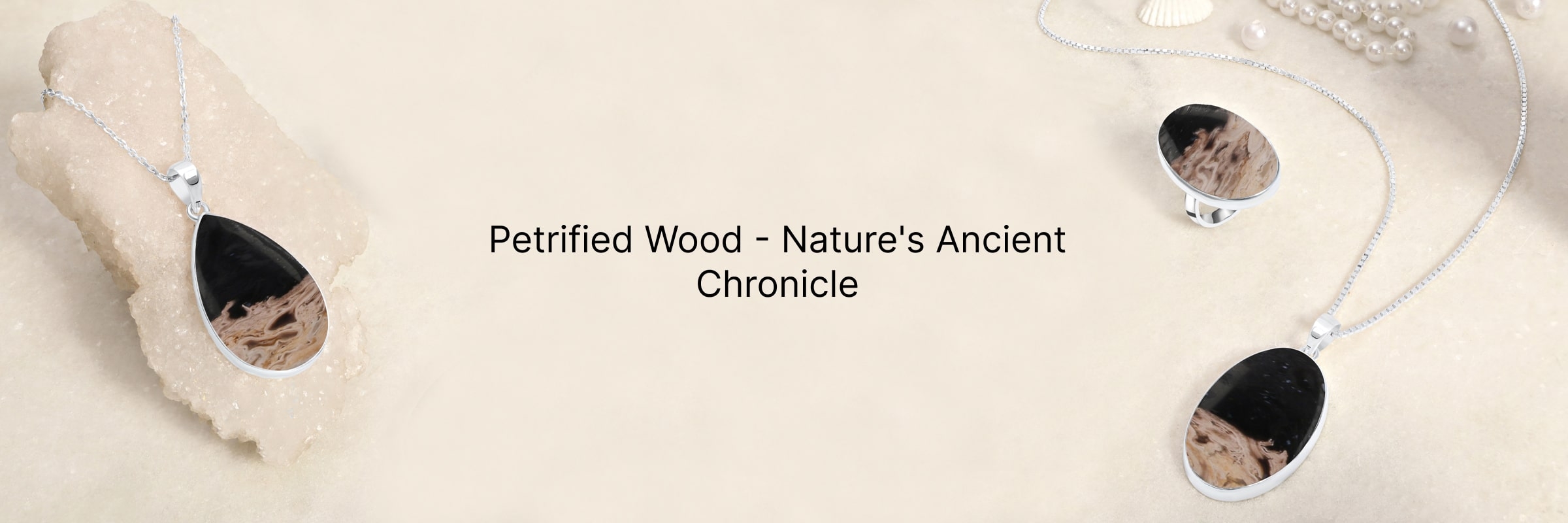 Petrified Wood Tales: Nature's Ancient Story in Stone
