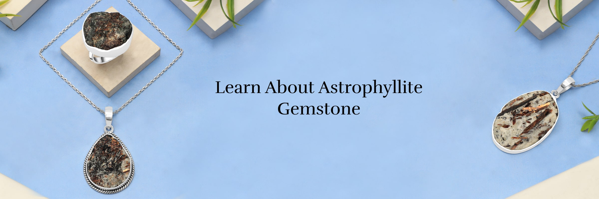 More About Astrophyllite
