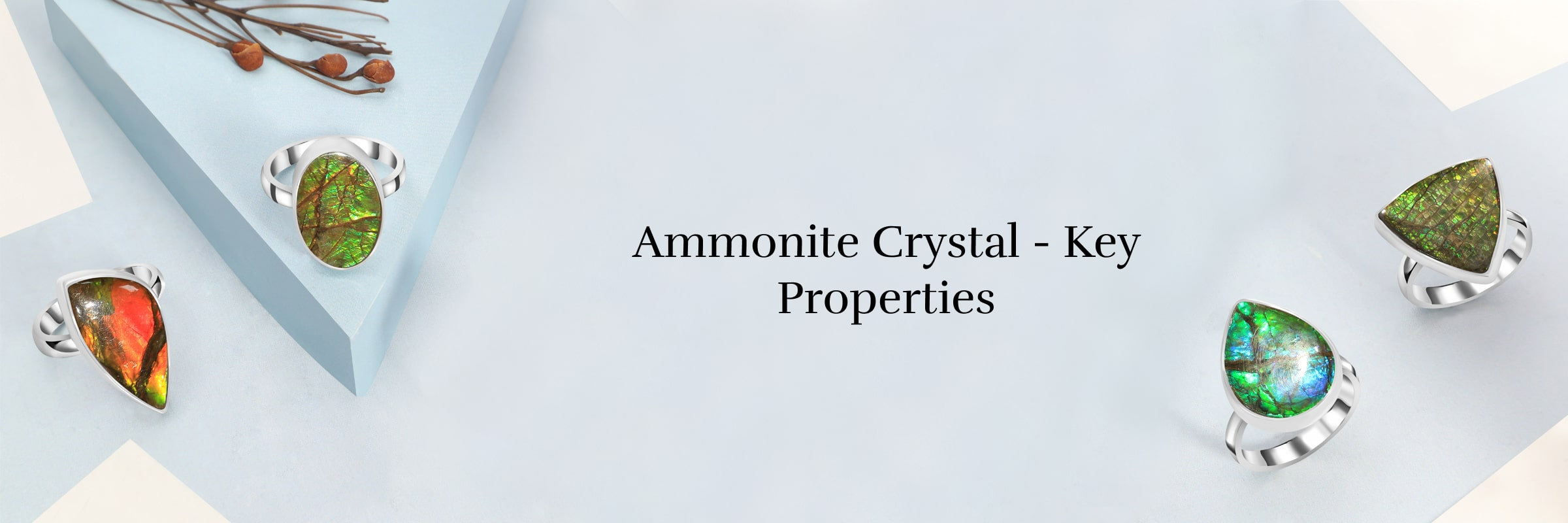 Physical Properties of Ammonite Crystal
