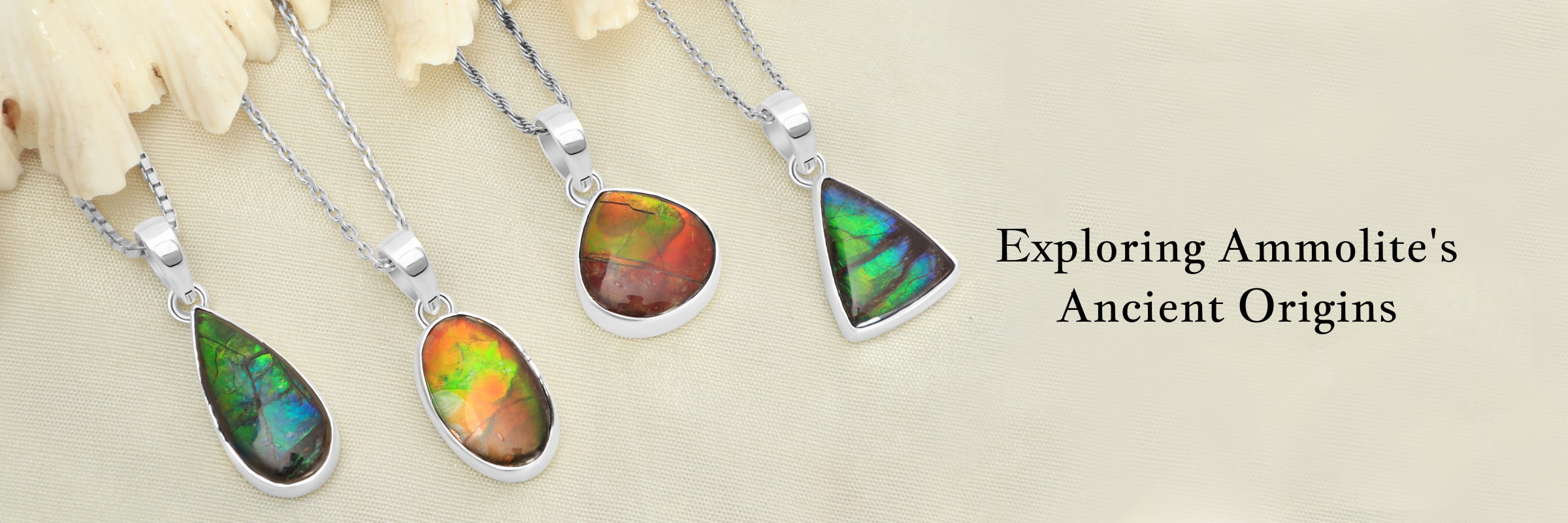 Exploring the Ancient History of Ammolite Exploring the Ancient History of Ammolite