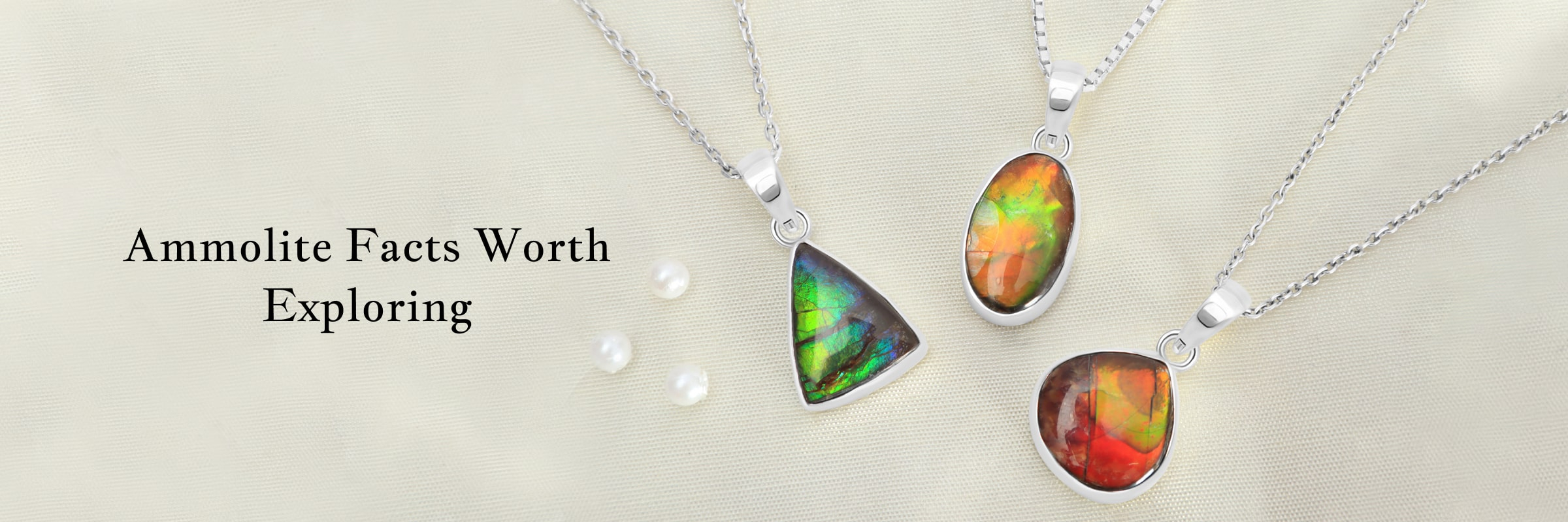 A Closer Look at the Fascinating Facts About Ammolite A Closer Look at the Fascinating Facts About Ammolite