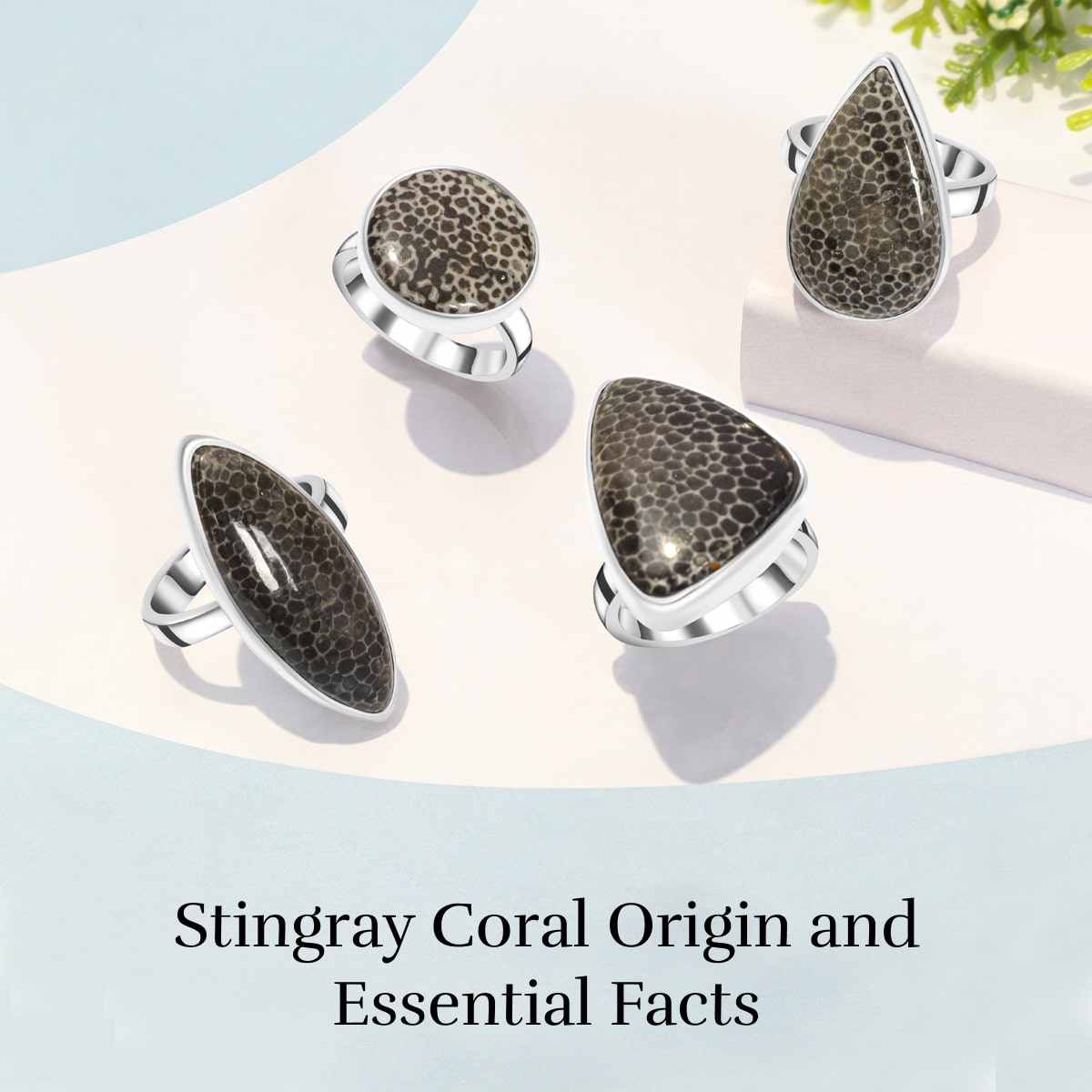 Formation, Origin, And Facts About Stingray Coral