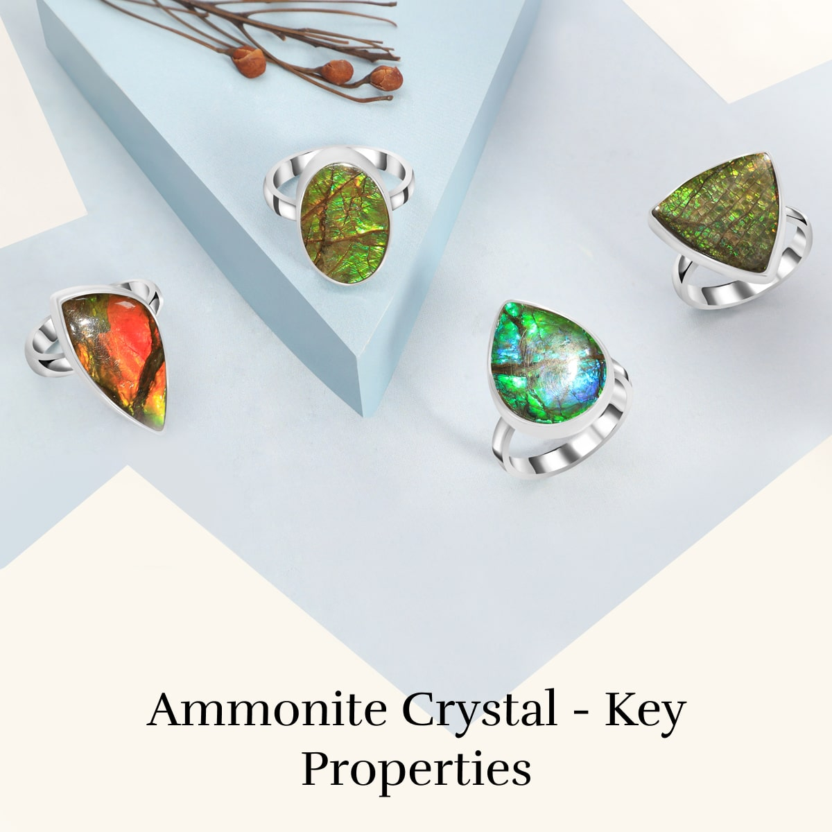 Physical Properties of Ammonite Crystal