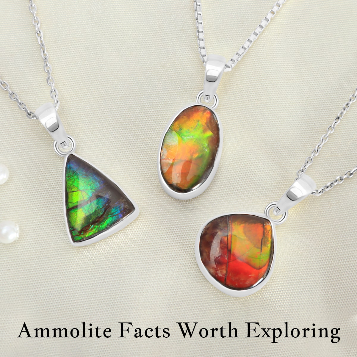 A Closer Look at the Fascinating Facts About Ammolite A Closer Look at the Fascinating Facts About Ammolite