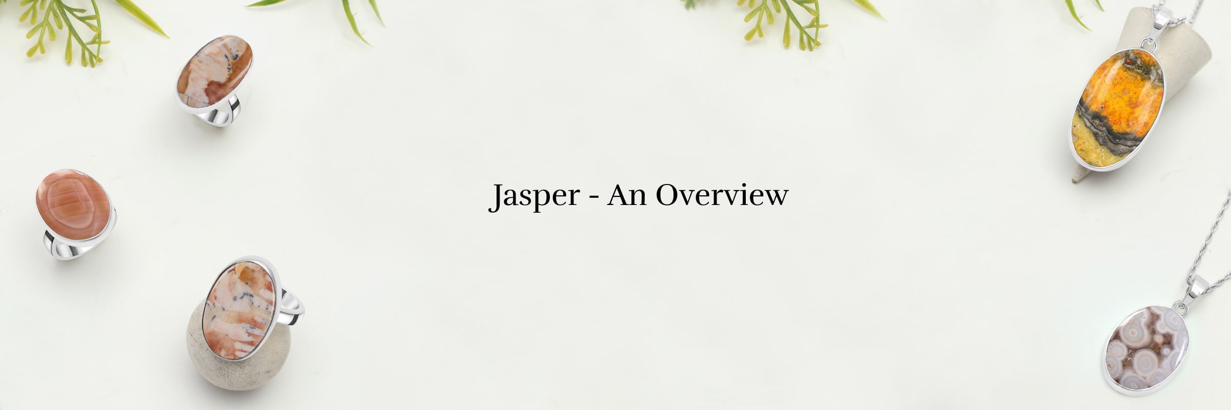 What is Jasper