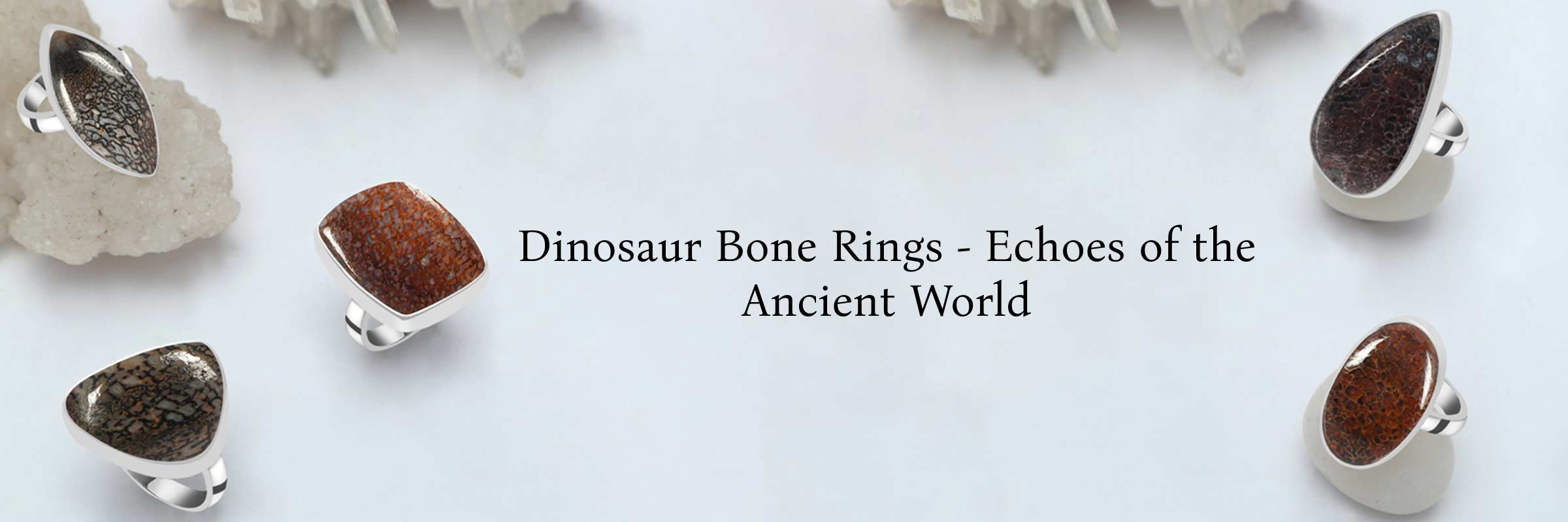Dinosaur Bone Rings