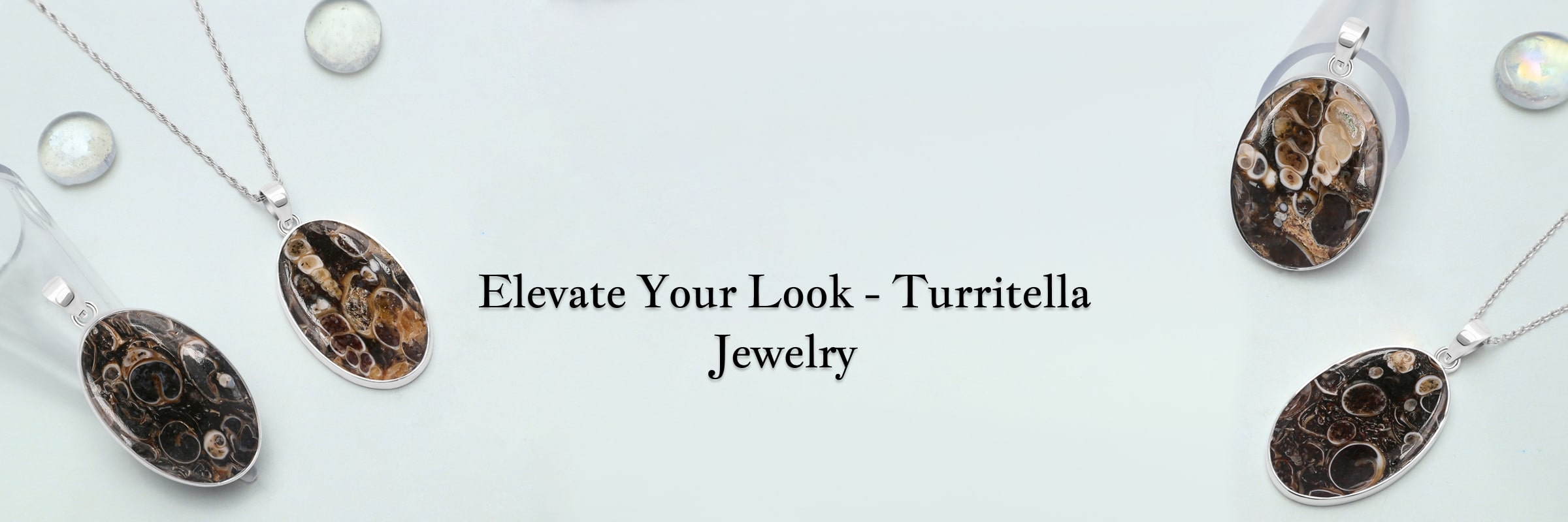 Silver Turritella Jewelry