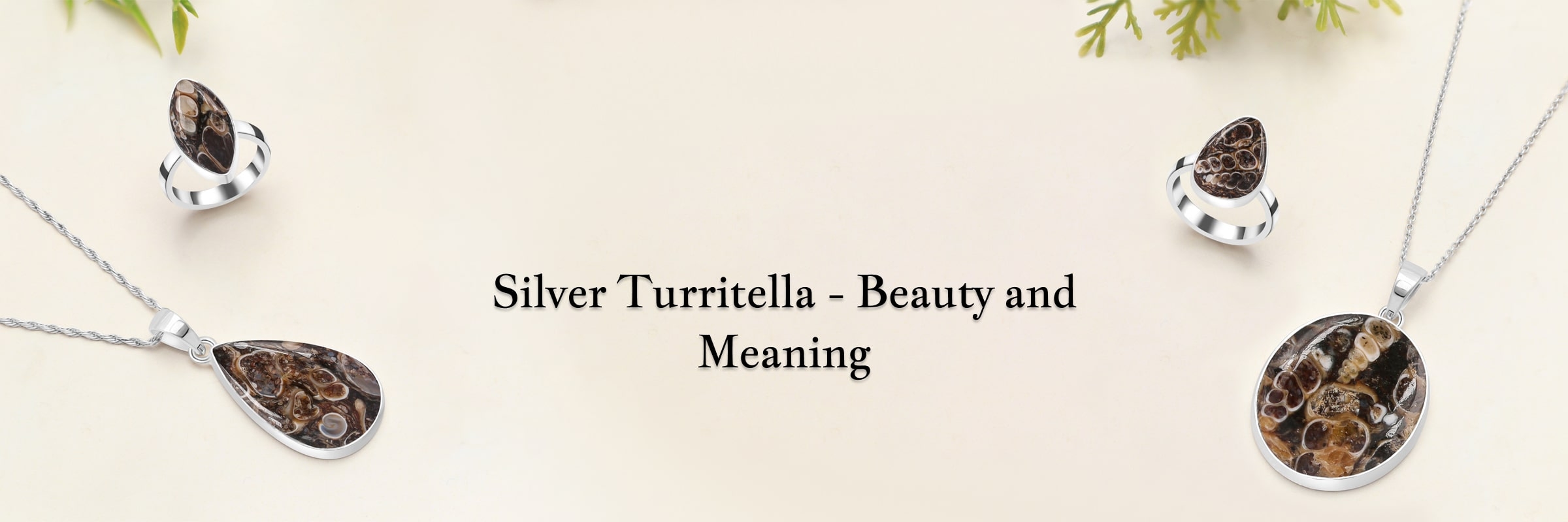 Exquisite Beauty and Significances of Silver Turritella Jewelry