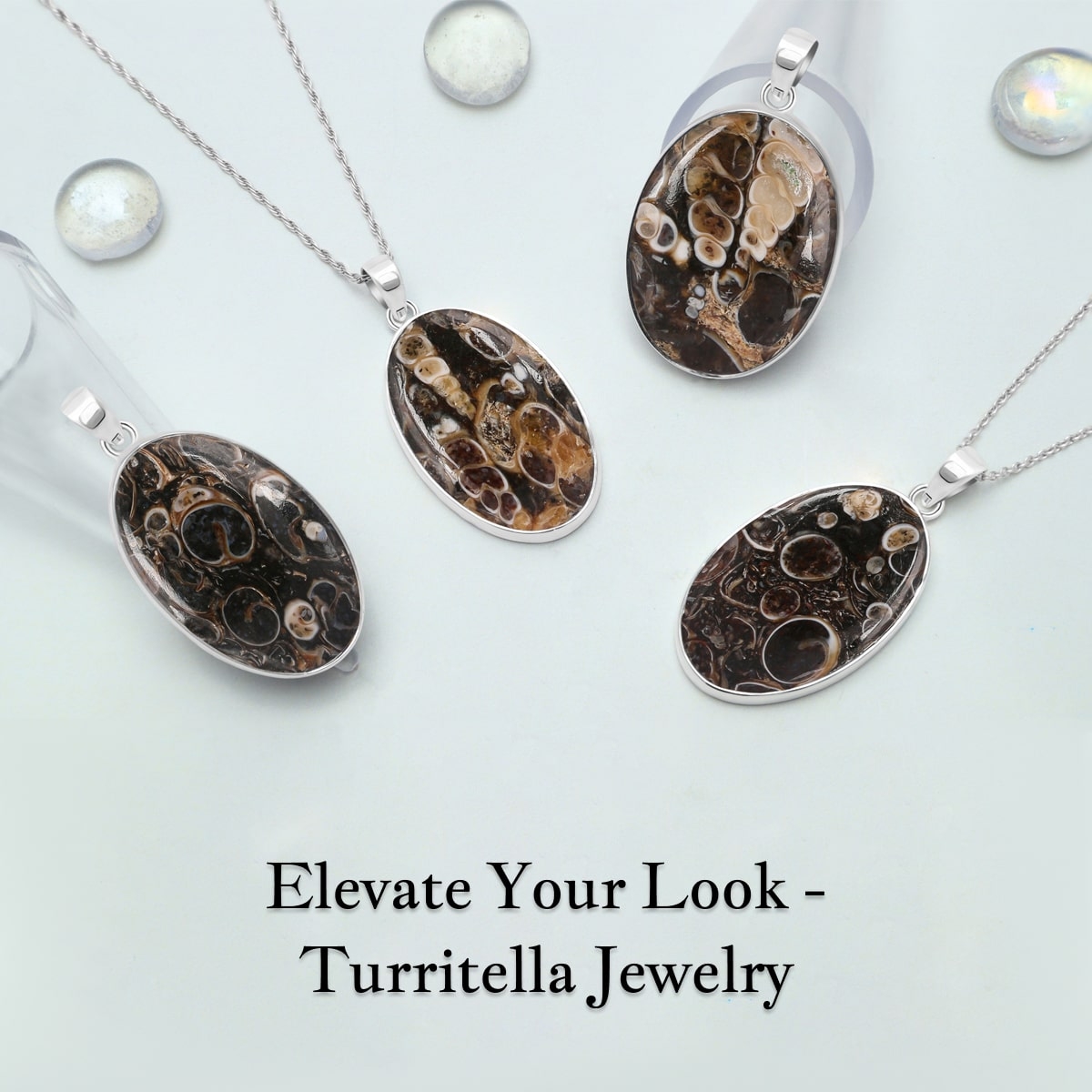 Silver Turritella Jewelry