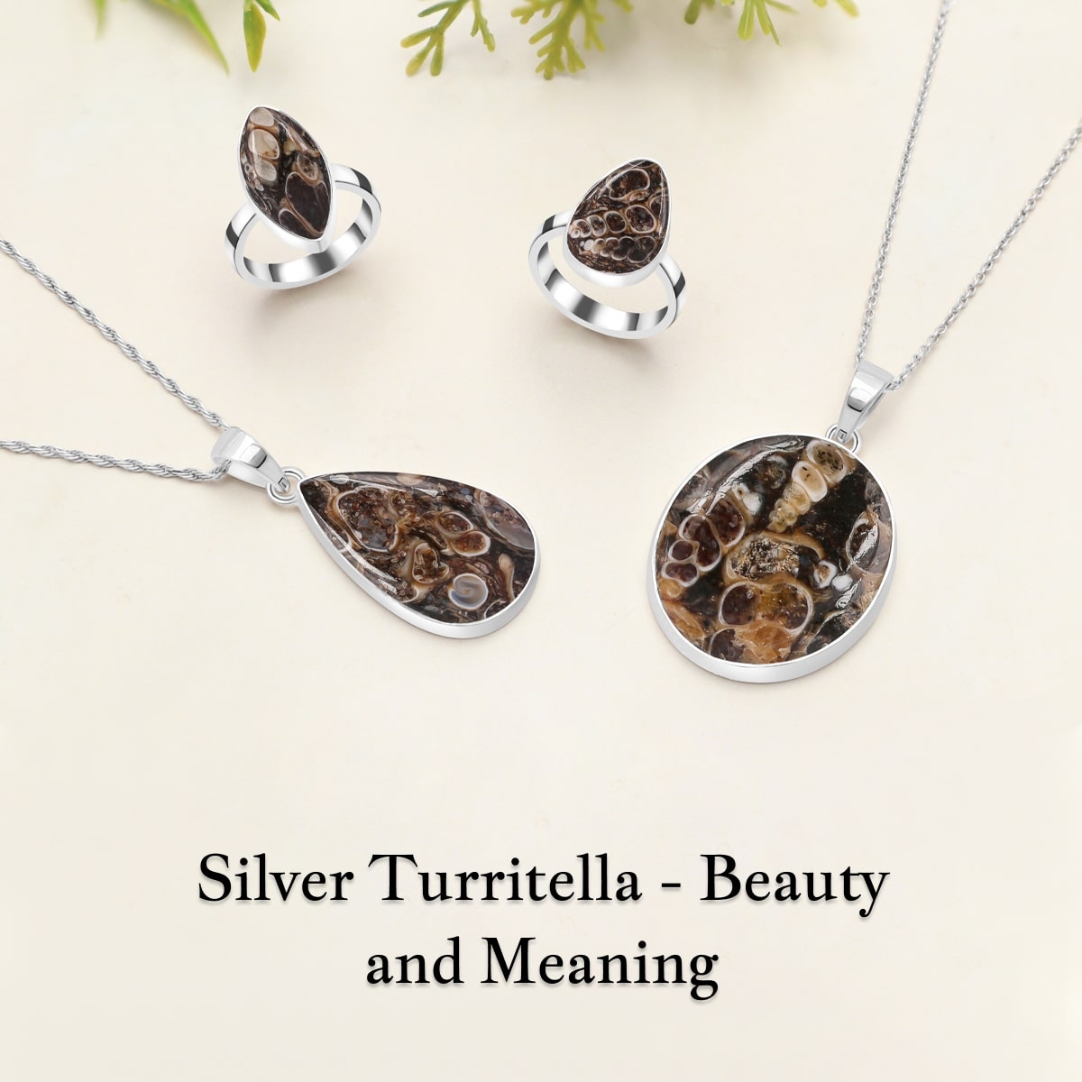 Exquisite Beauty and Significances of Silver Turritella Jewelry