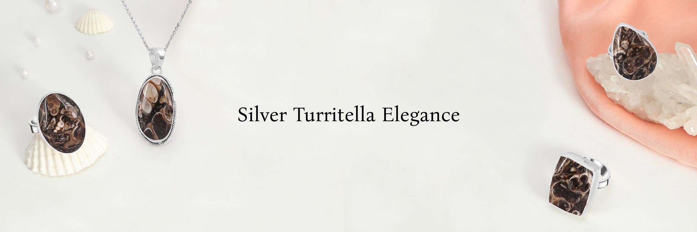 Embracing Earth’s Legacy with Turritella Embracing Earth’s Legacy with Turritella