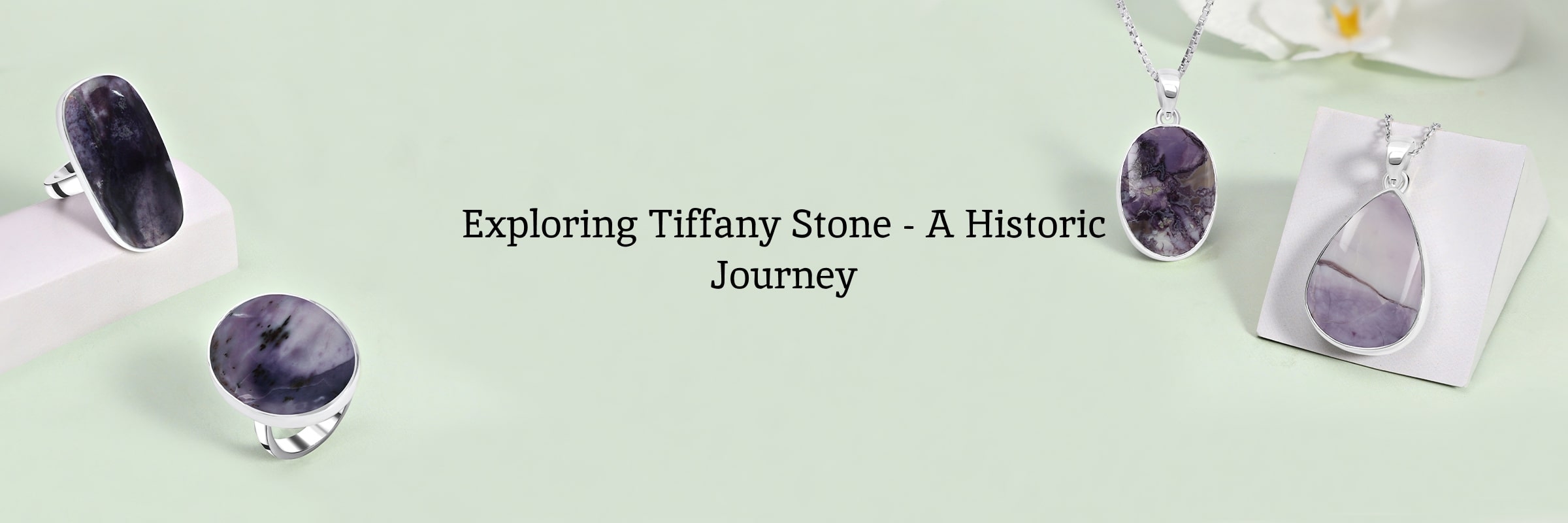 Meaning & History of Tiffany Meaning & History of Tiffany