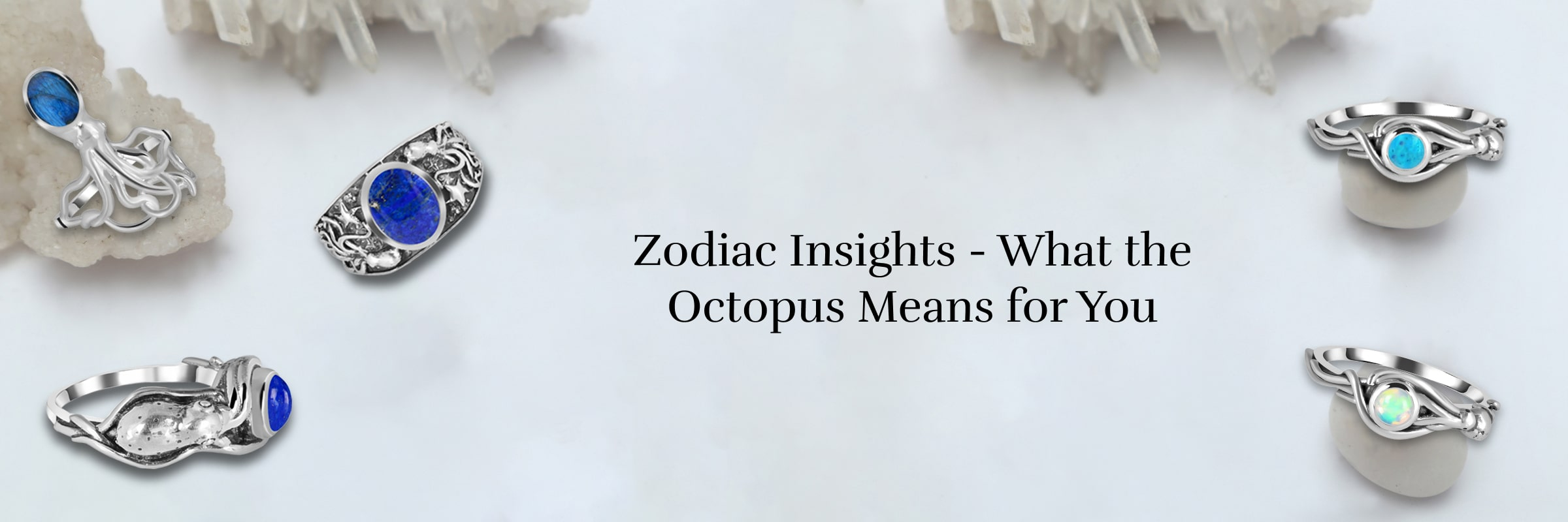 Octopus’s Association with Different Zodiac Signs Octopus’s Association with Different Zodiac Signs