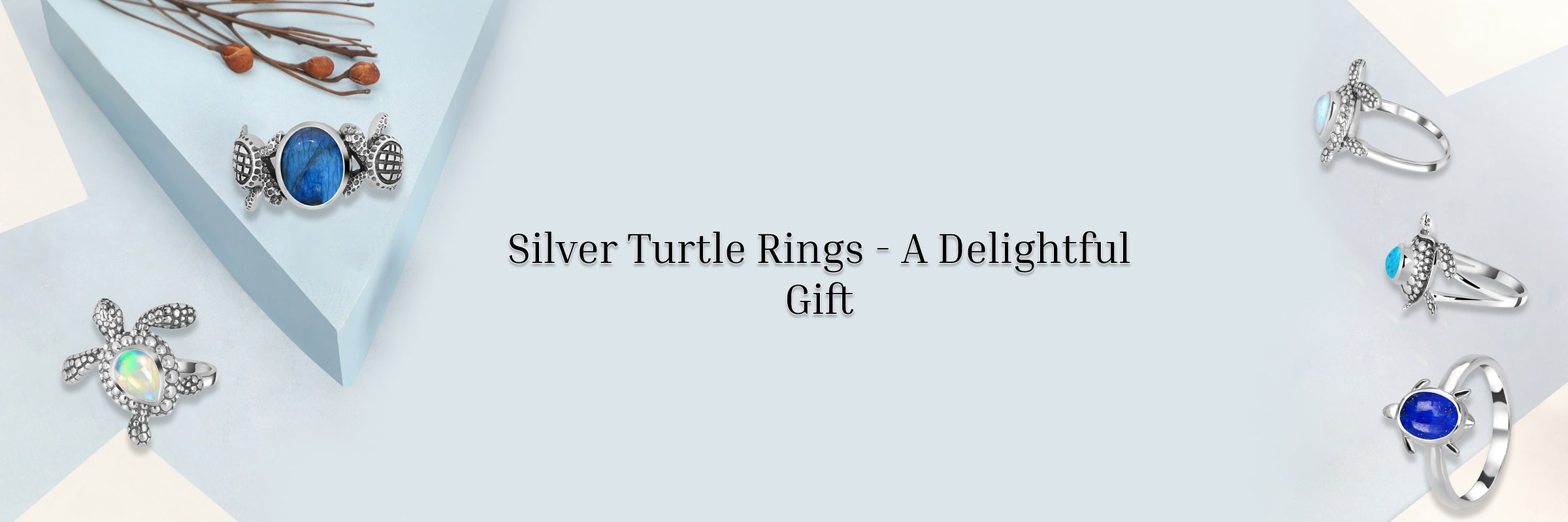 Silver Turtle Ring Meaning