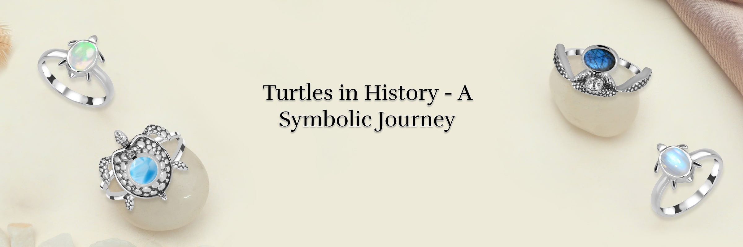 The Brief & Historical Significance of Turtles The Brief & Historical Significance of Turtles