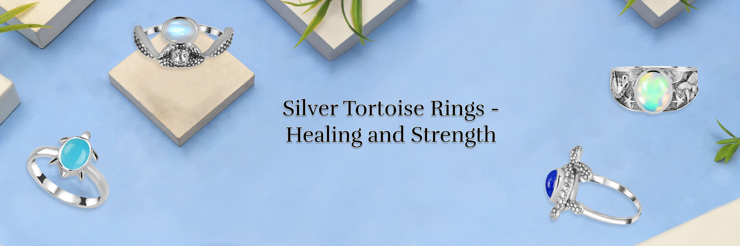 Are Wearing Silver Tortoise Rings Provide Benefits to Its Admirers? Are Wearing Silver Tortoise Rings Provide Benefits to Its Admirers?