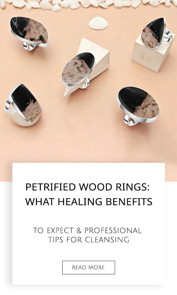 Petrified Wood Rings