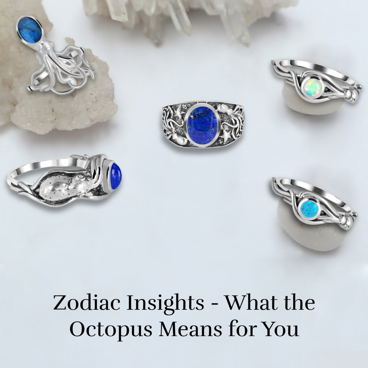 Octopus’s Association with Different Zodiac Signs Octopus’s Association with Different Zodiac Signs