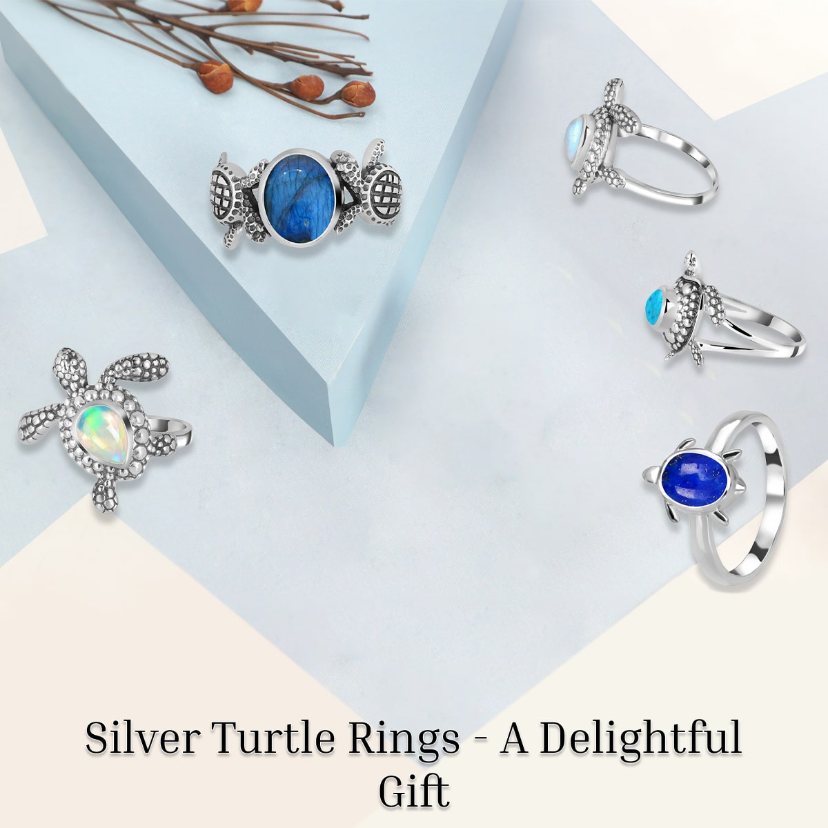Meaning and Symbolism of Silver Turtle Ring
