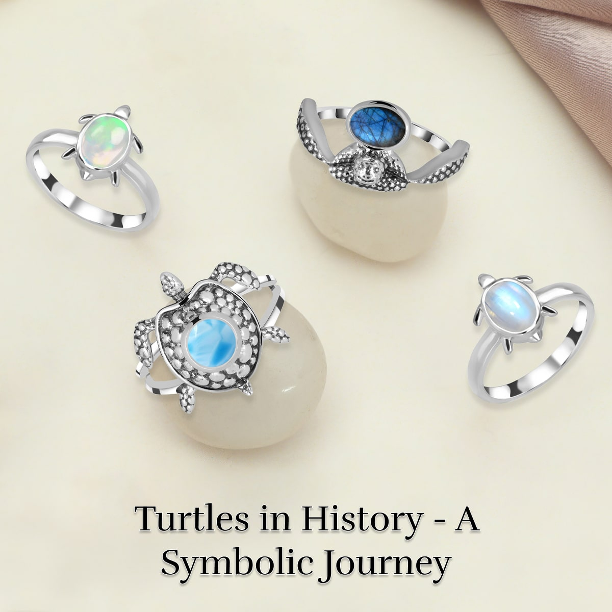 The Brief & Historical Significance of Turtles The Brief & Historical Significance of Turtles