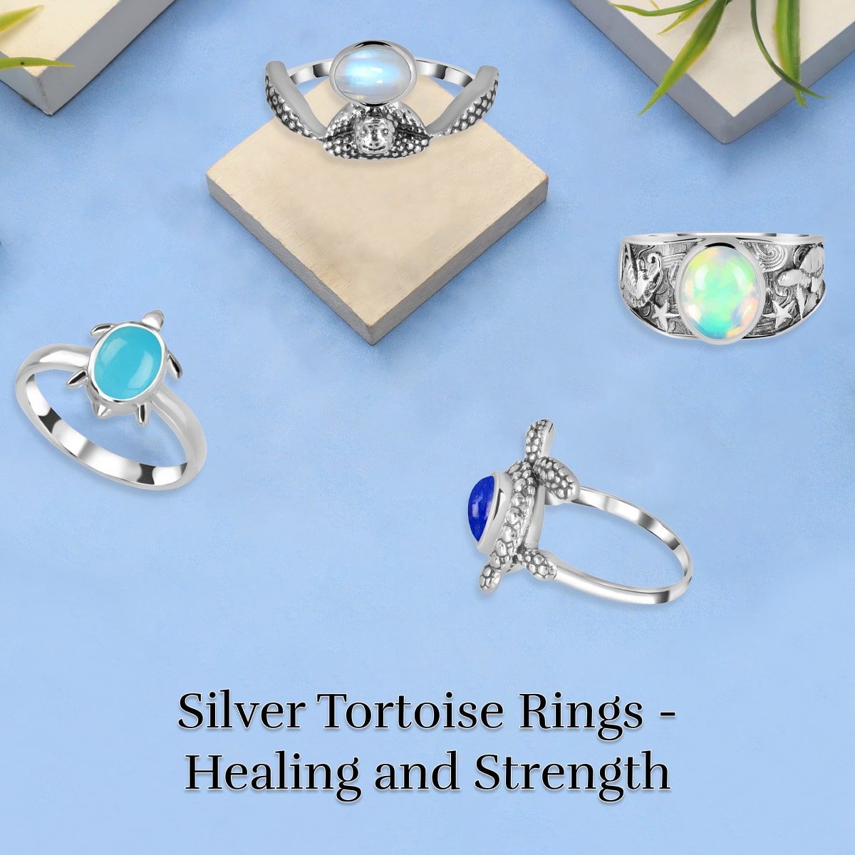 Are Wearing Silver Tortoise Rings Provide Benefits to Its Admirers? Are Wearing Silver Tortoise Rings Provide Benefits to Its Admirers?