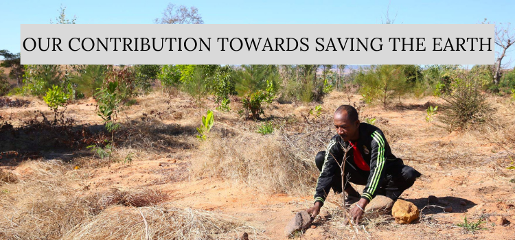 Our Contribution towards Saving the Earth Our Contribution towards Saving the Earth