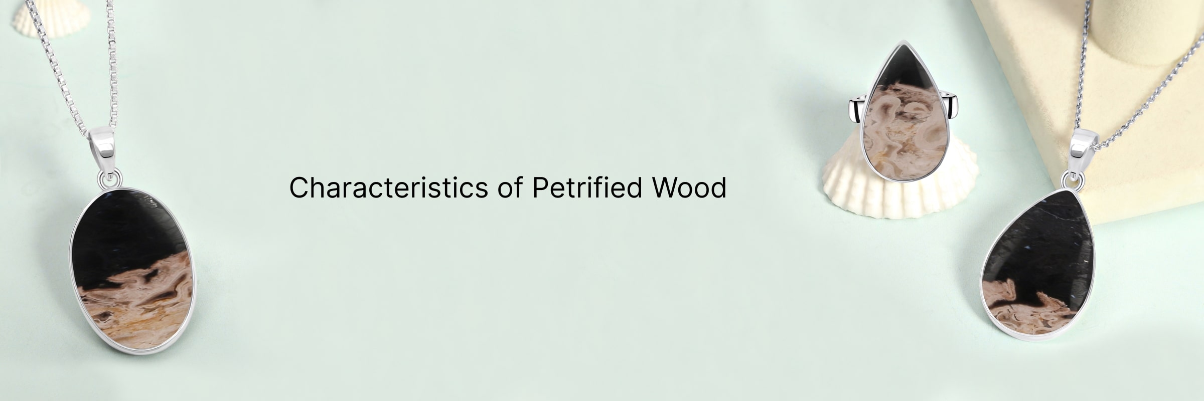 Petrified Wood Characteristics