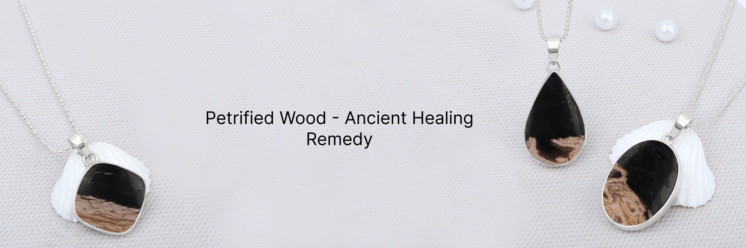 Petrified Wood Healing Properties