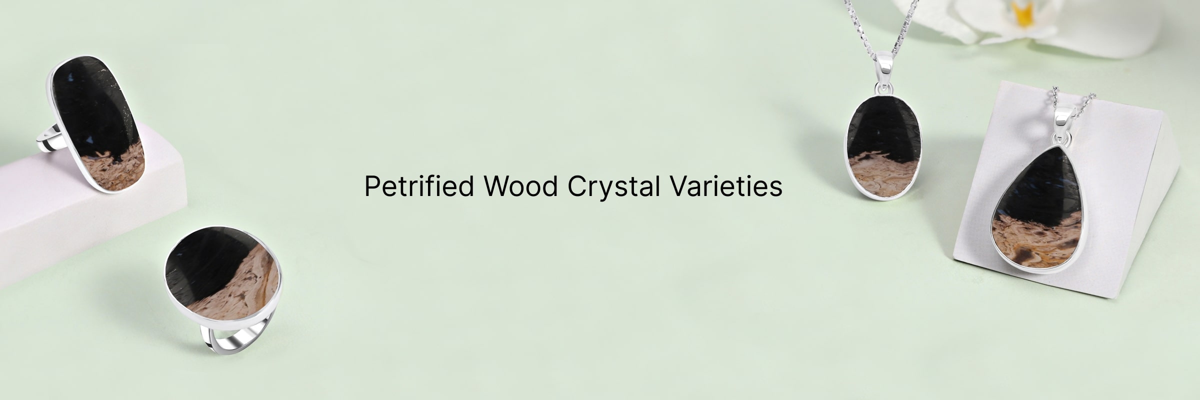Types of Petrified Wood Crystals