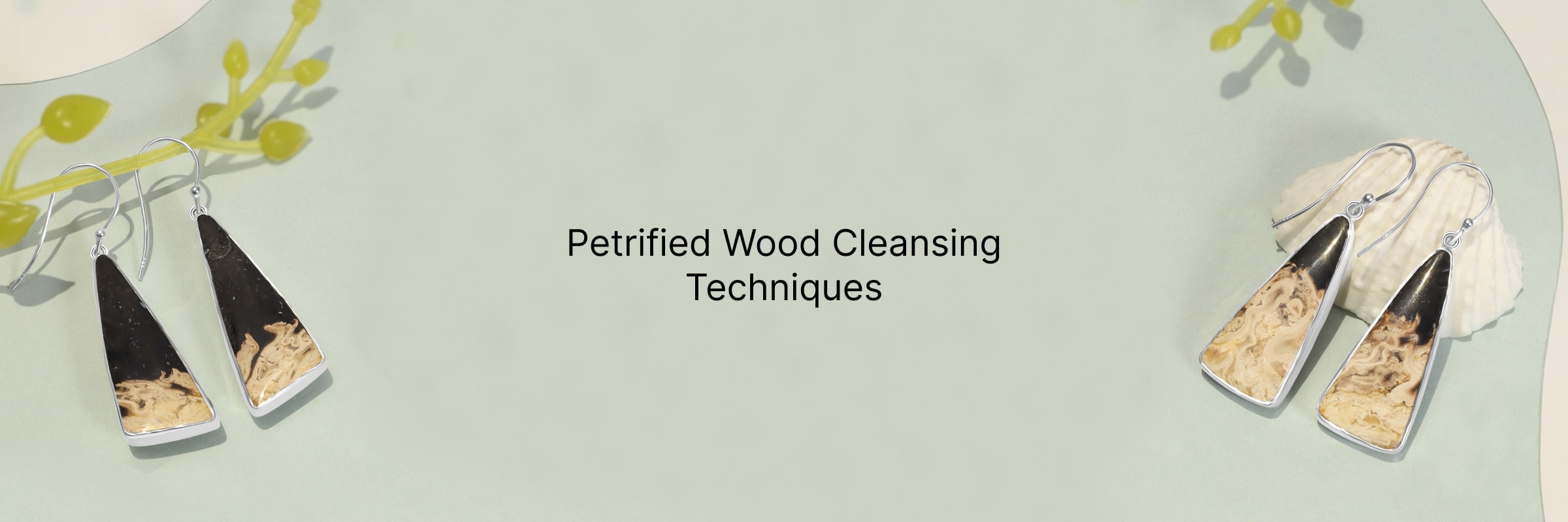 How To Cleanse Petrified Wood