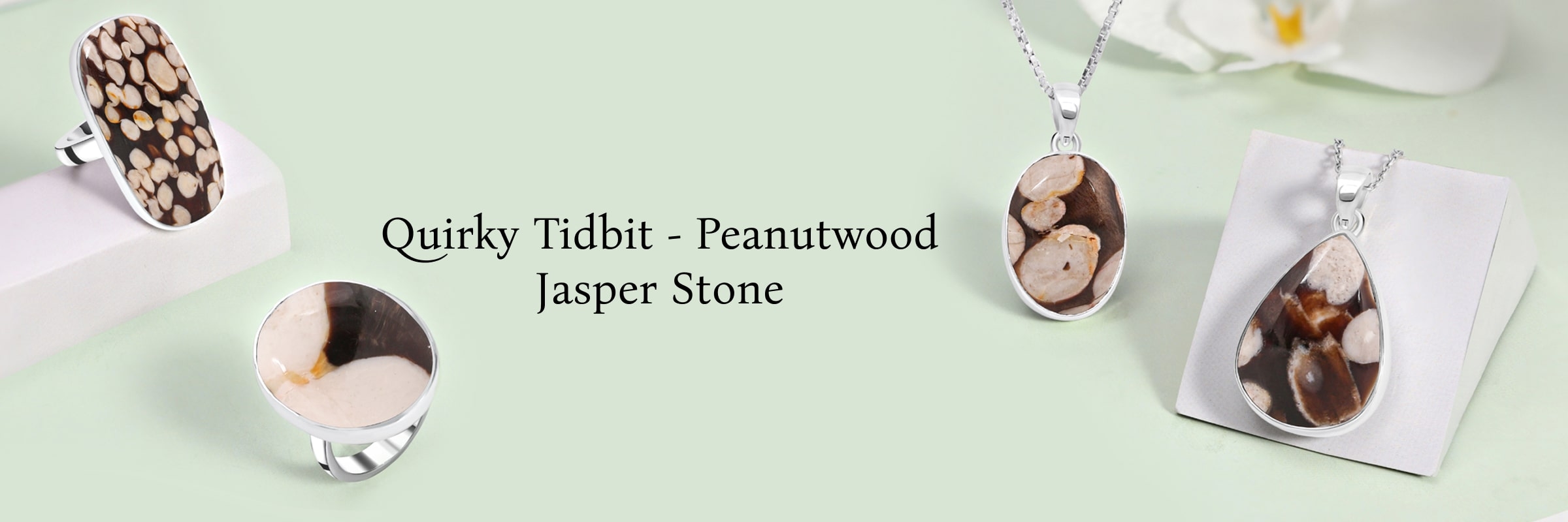 The Use of Fossils in Peanutwood Jasper