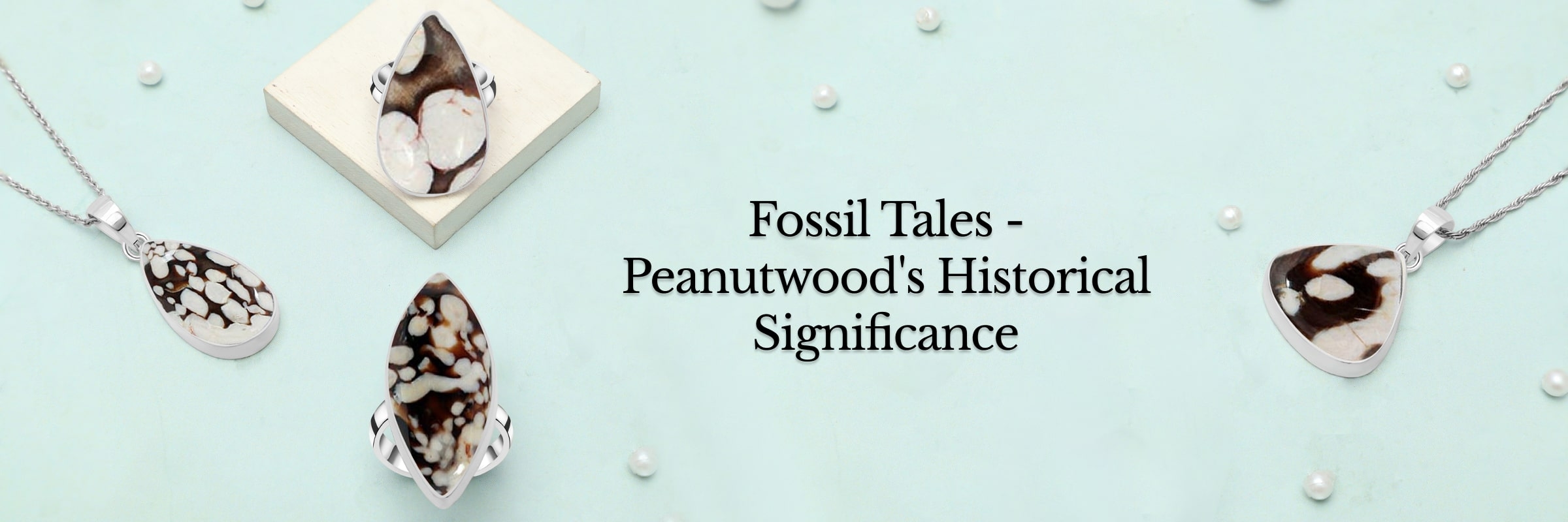 The Significance of Fossils in Peanutwood