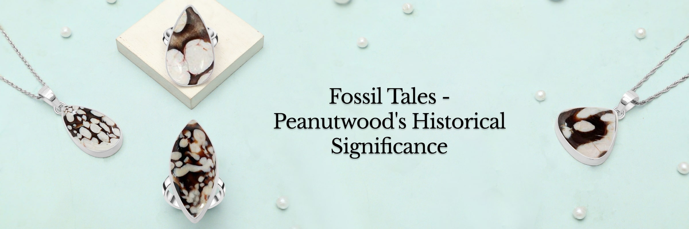 The Significance of Fossils in Peanutwood The Significance of Fossils in Peanutwood
