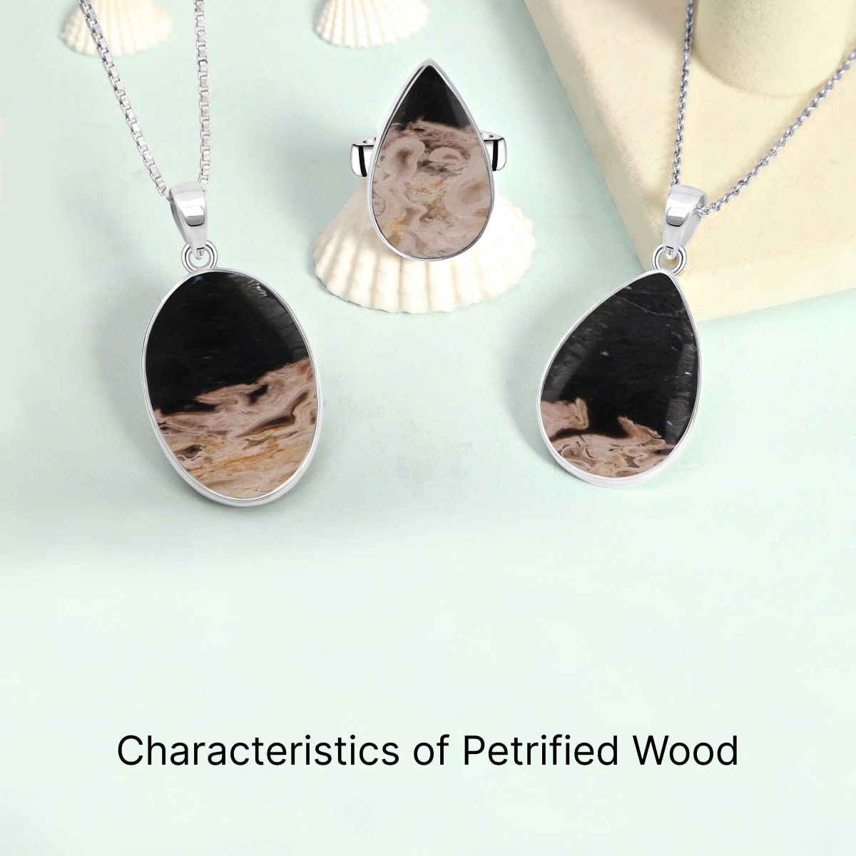 Petrified Wood Characteristics