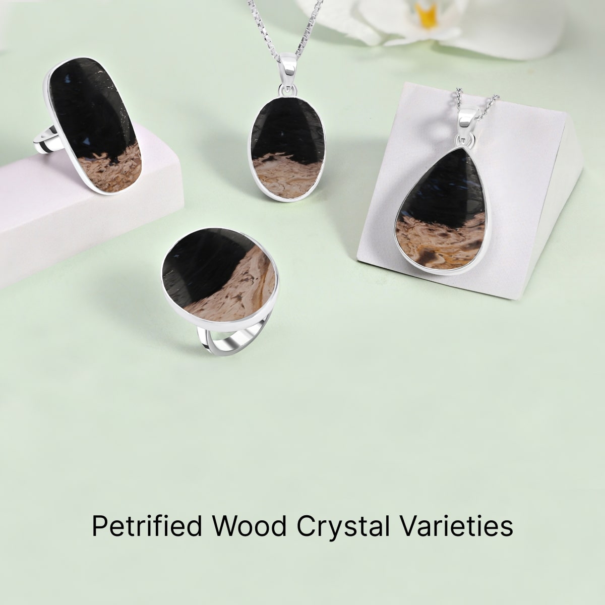 Types of Petrified Wood Crystals