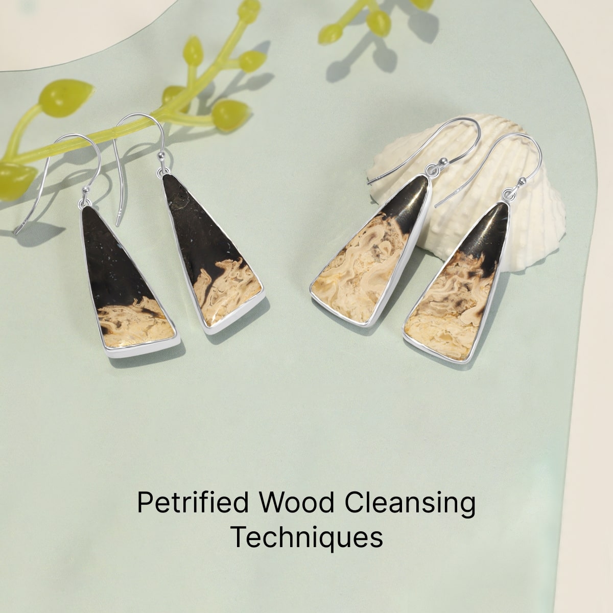 How To Cleanse Petrified Wood