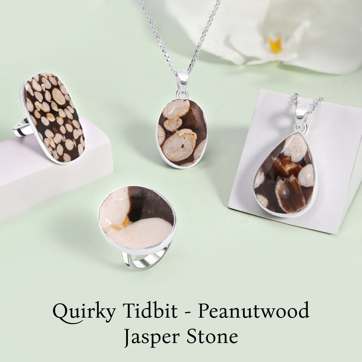 The Use of Fossils in Peanutwood Jasper