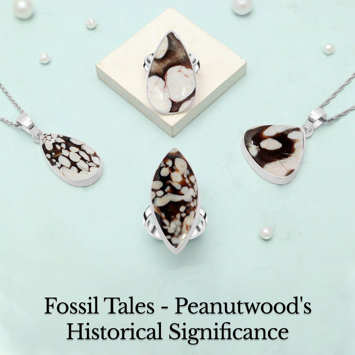 The Significance of Fossils in Peanutwood The Significance of Fossils in Peanutwood