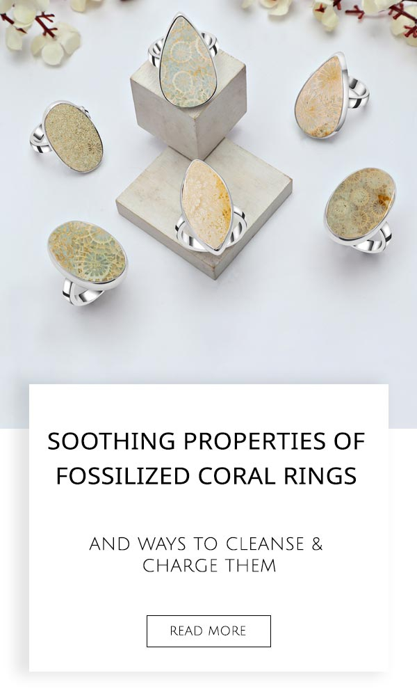Fossilized Coral Rings