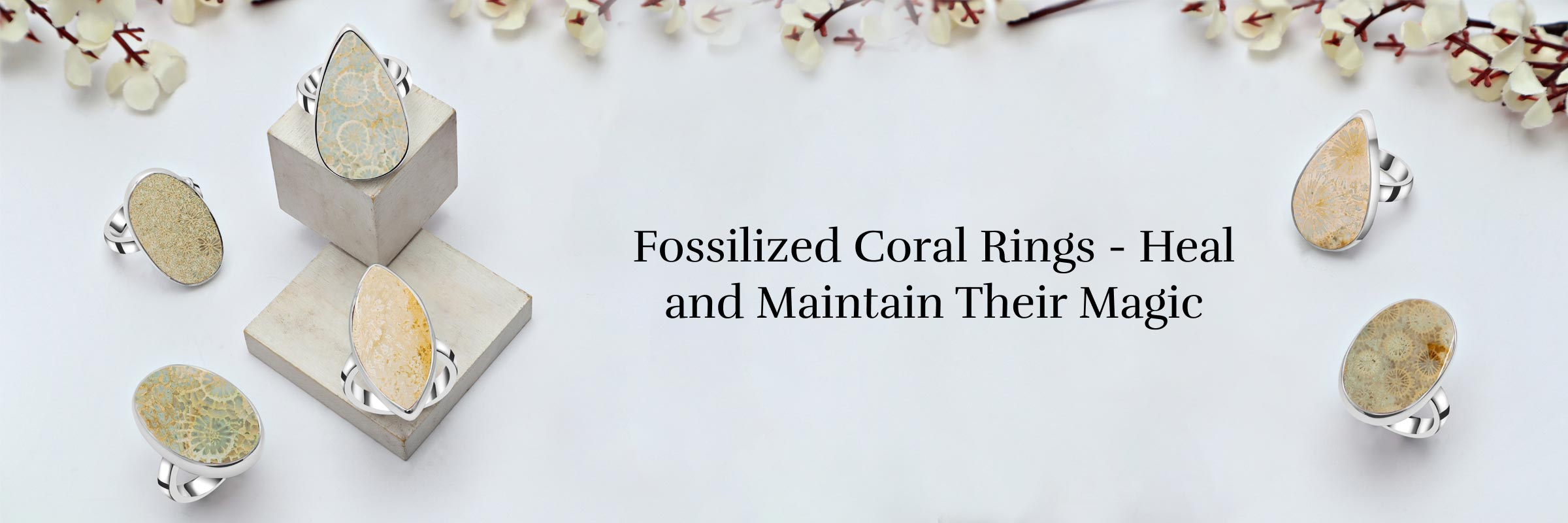 Soothing Properties of Fossilized Coral Rings and Ways to Cleanse & Charge Them