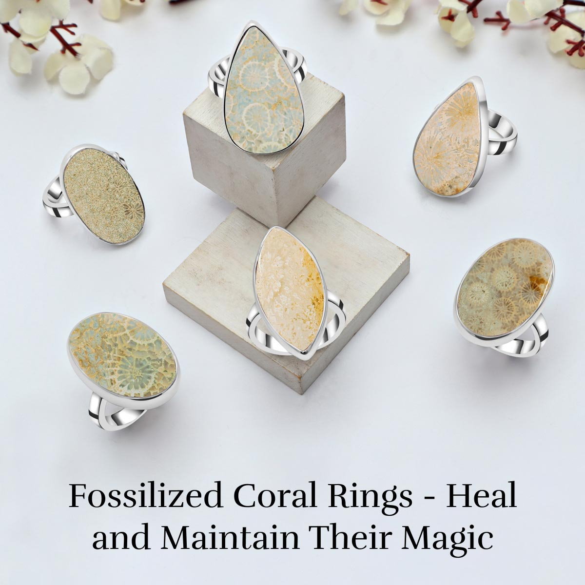 Soothing Properties of Fossilized Coral Rings and Ways to Cleanse & Charge Them