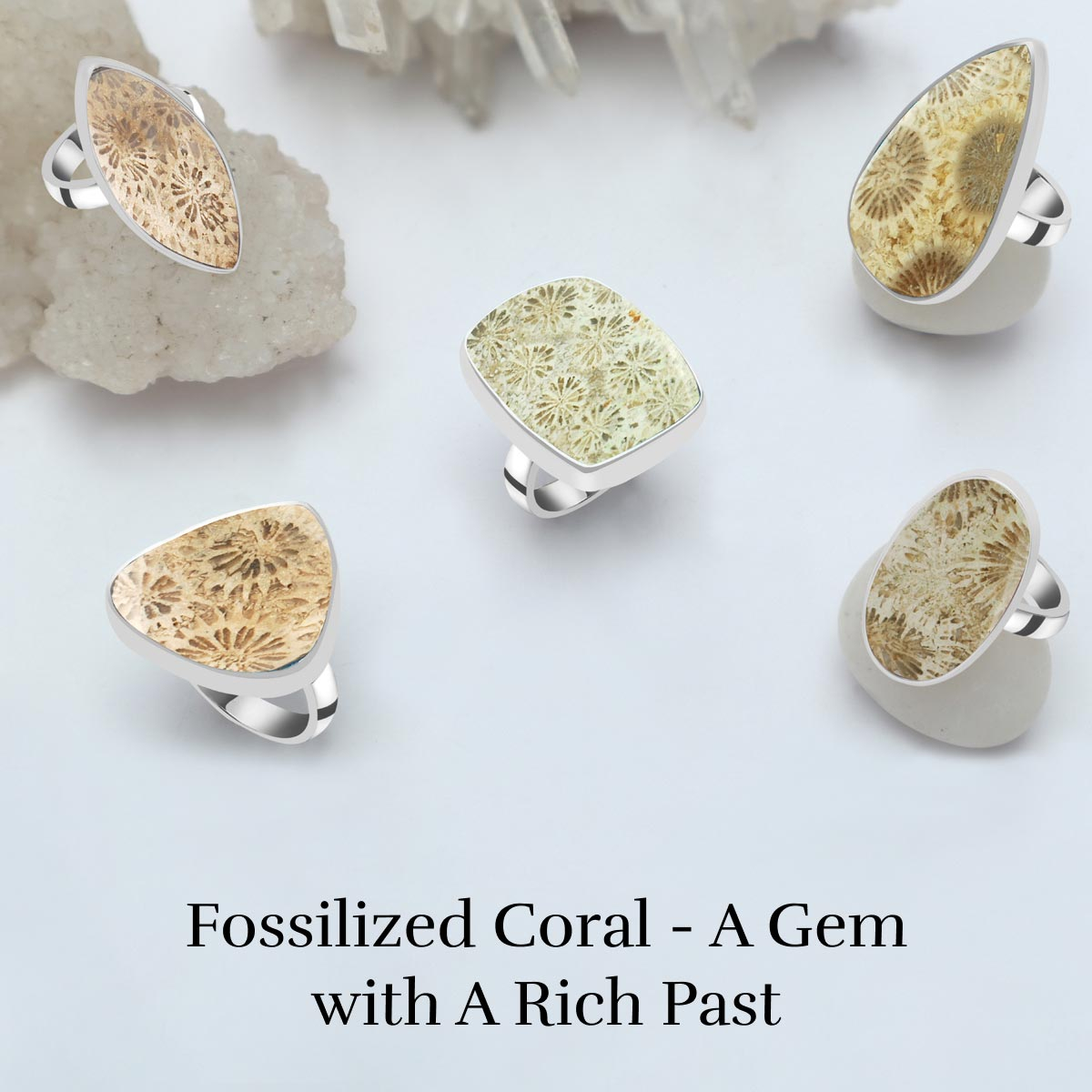 Understanding the Specifics of Fossilized Coral