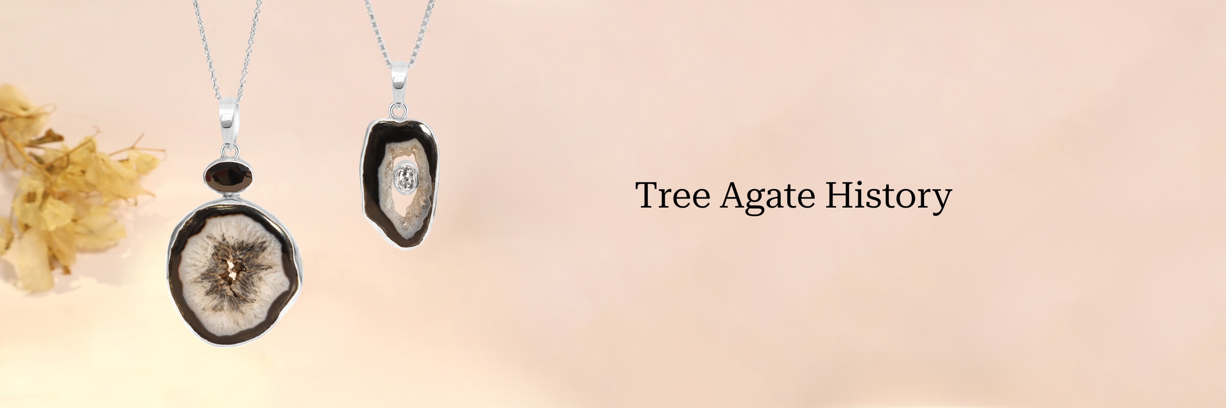 History of Tree Agate